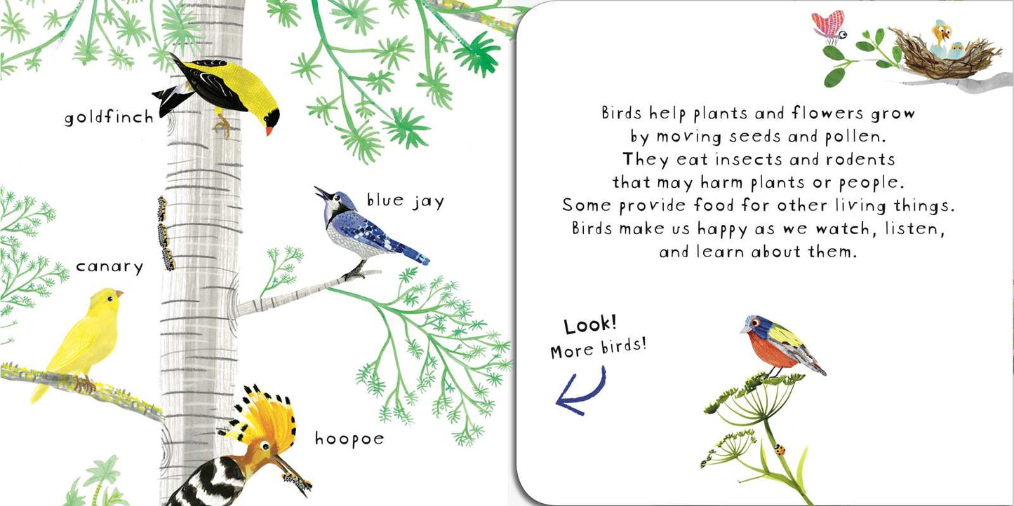 Look! Birds! Board Book