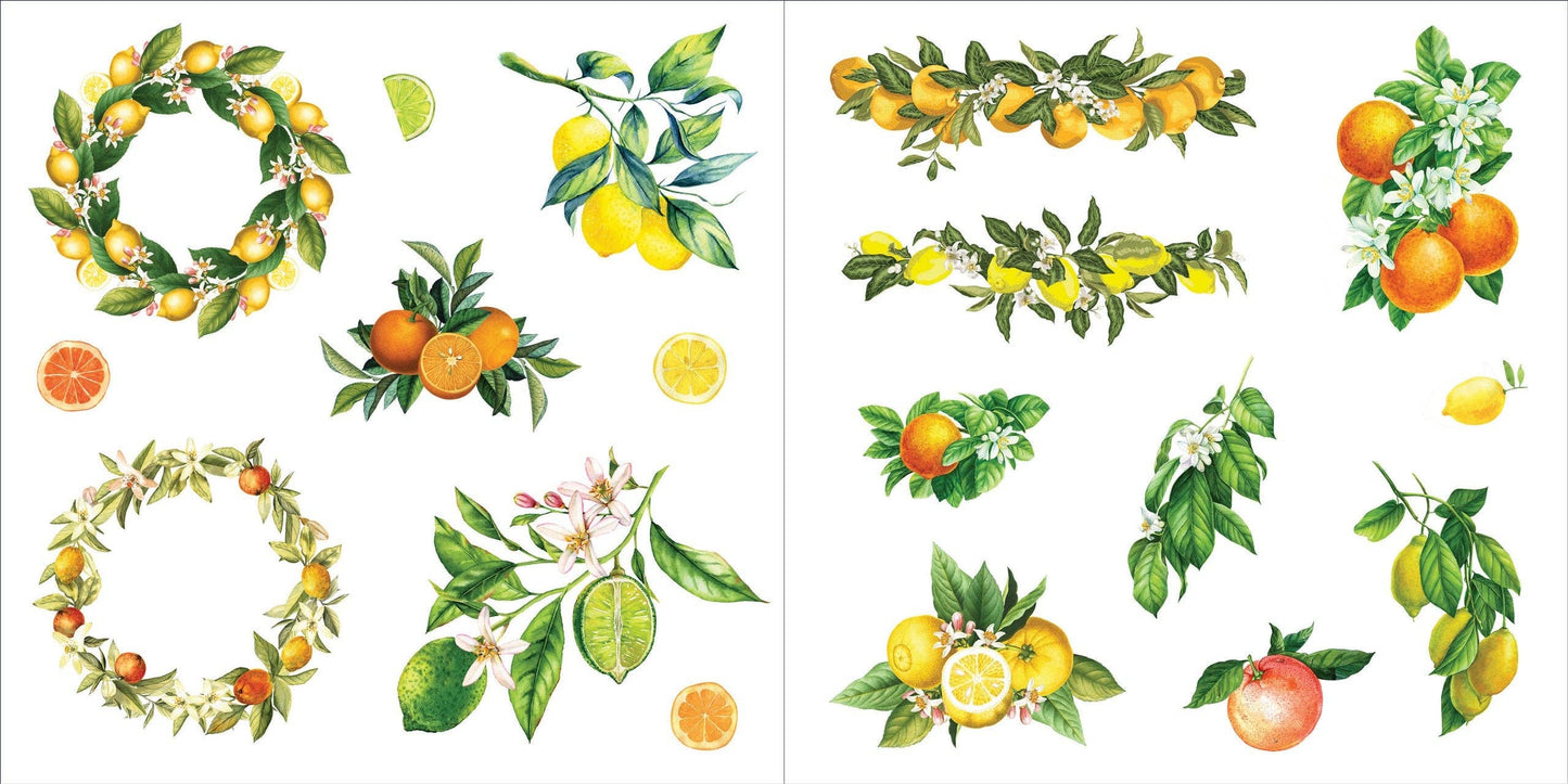Sticker Book - Bunches of Botanicals (500 stickers)