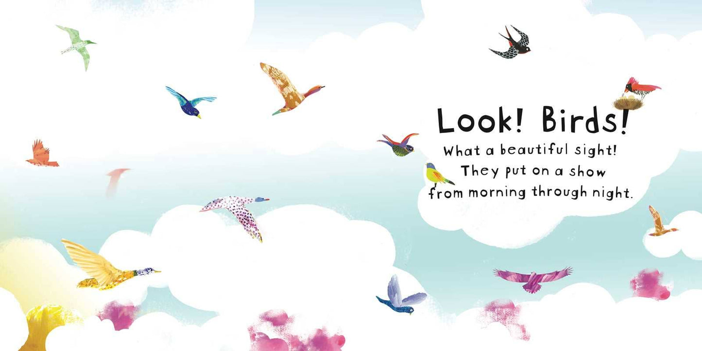 Look! Birds! Board Book