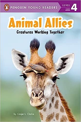 Animal Allies- Creatures Working Together (Hardback)
