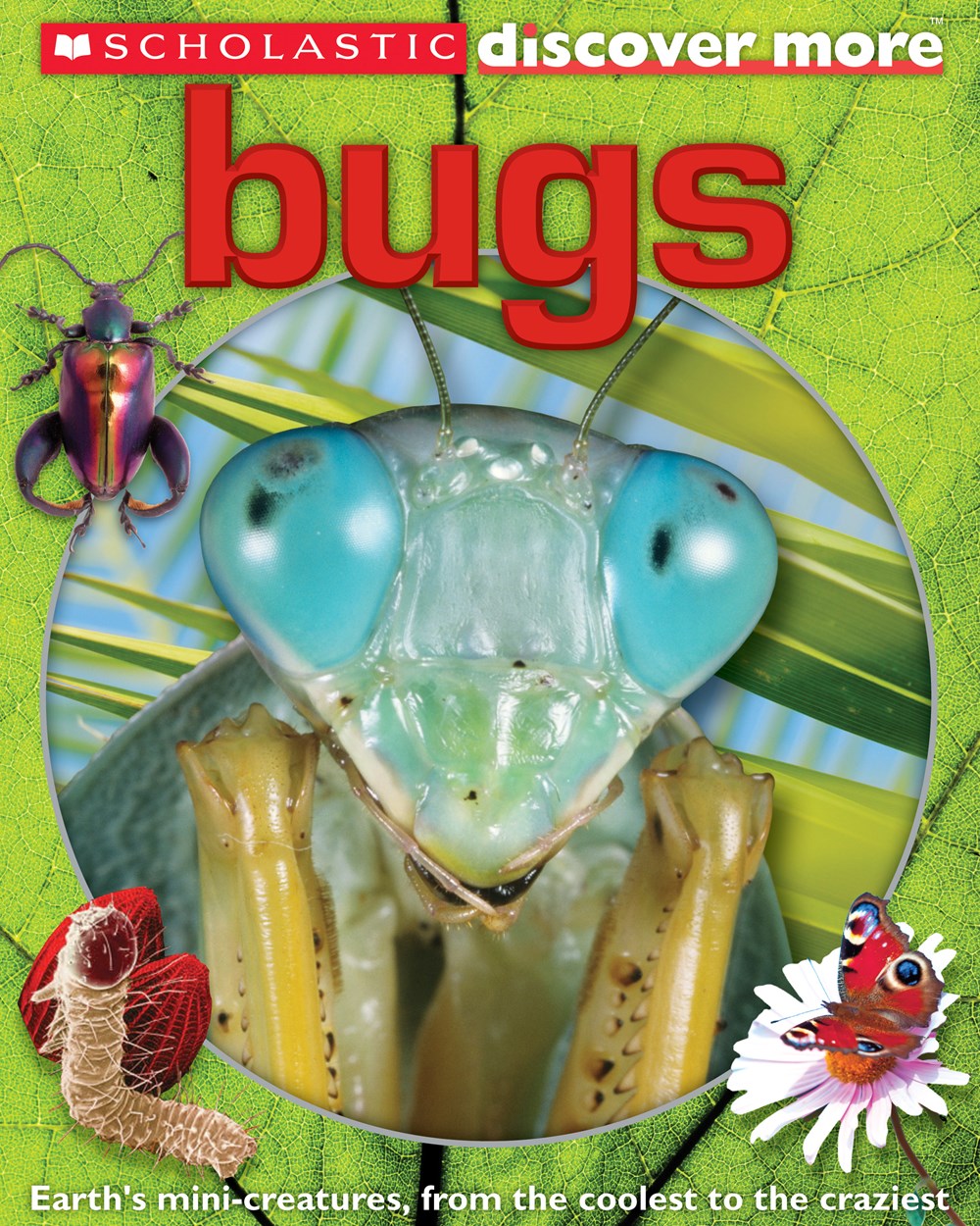 Bugs (Discover More)