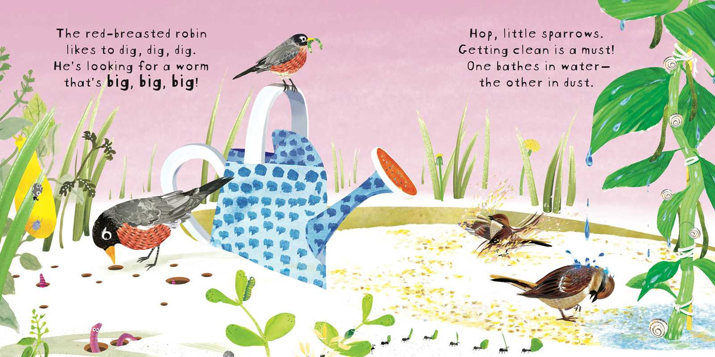 Look! Birds! Board Book