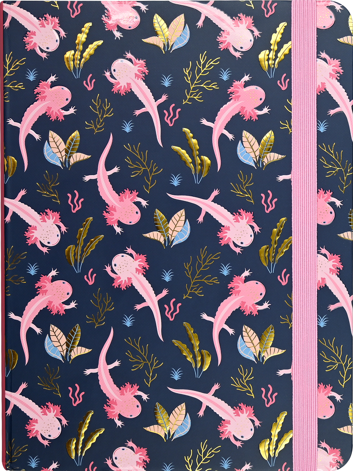 Journal - Axolotls