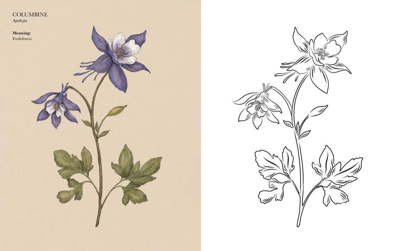 Coloring Book - Floriography
