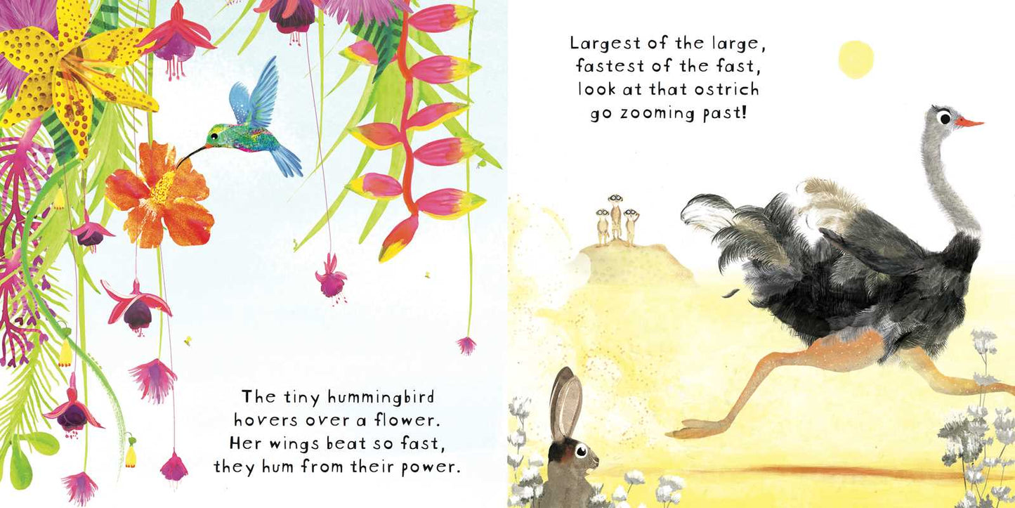 Look! Birds! Board Book