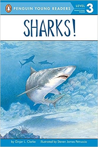 Sharks! (All Aboard Reading) Paperback