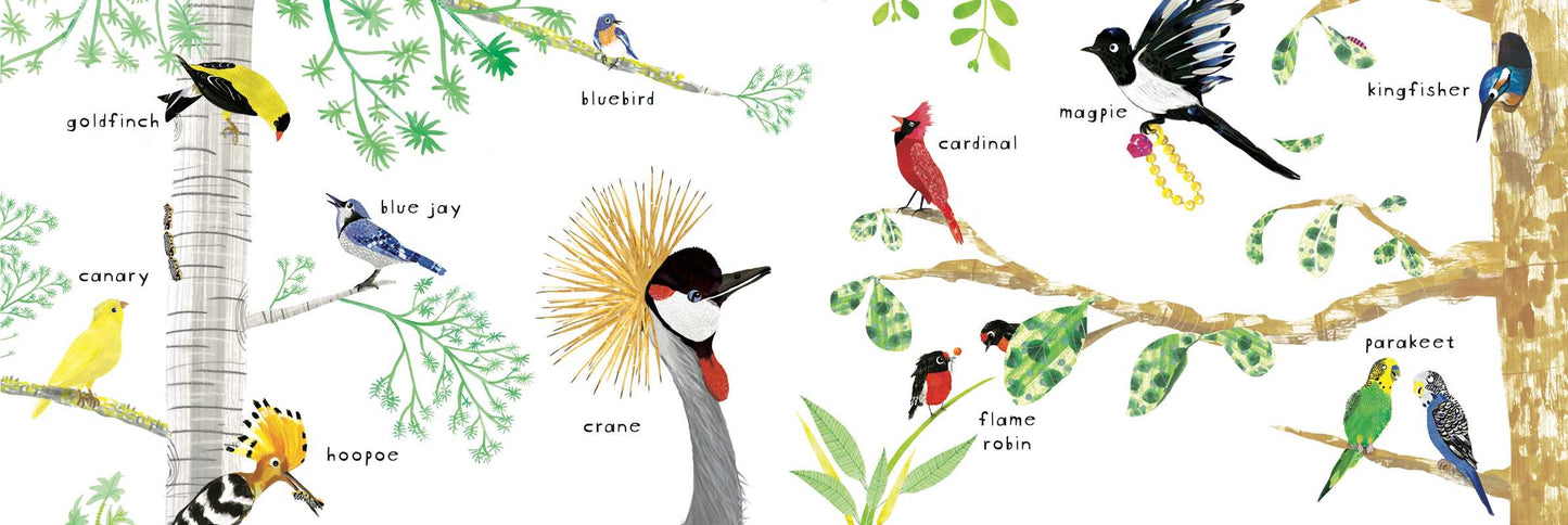 Look! Birds! Board Book