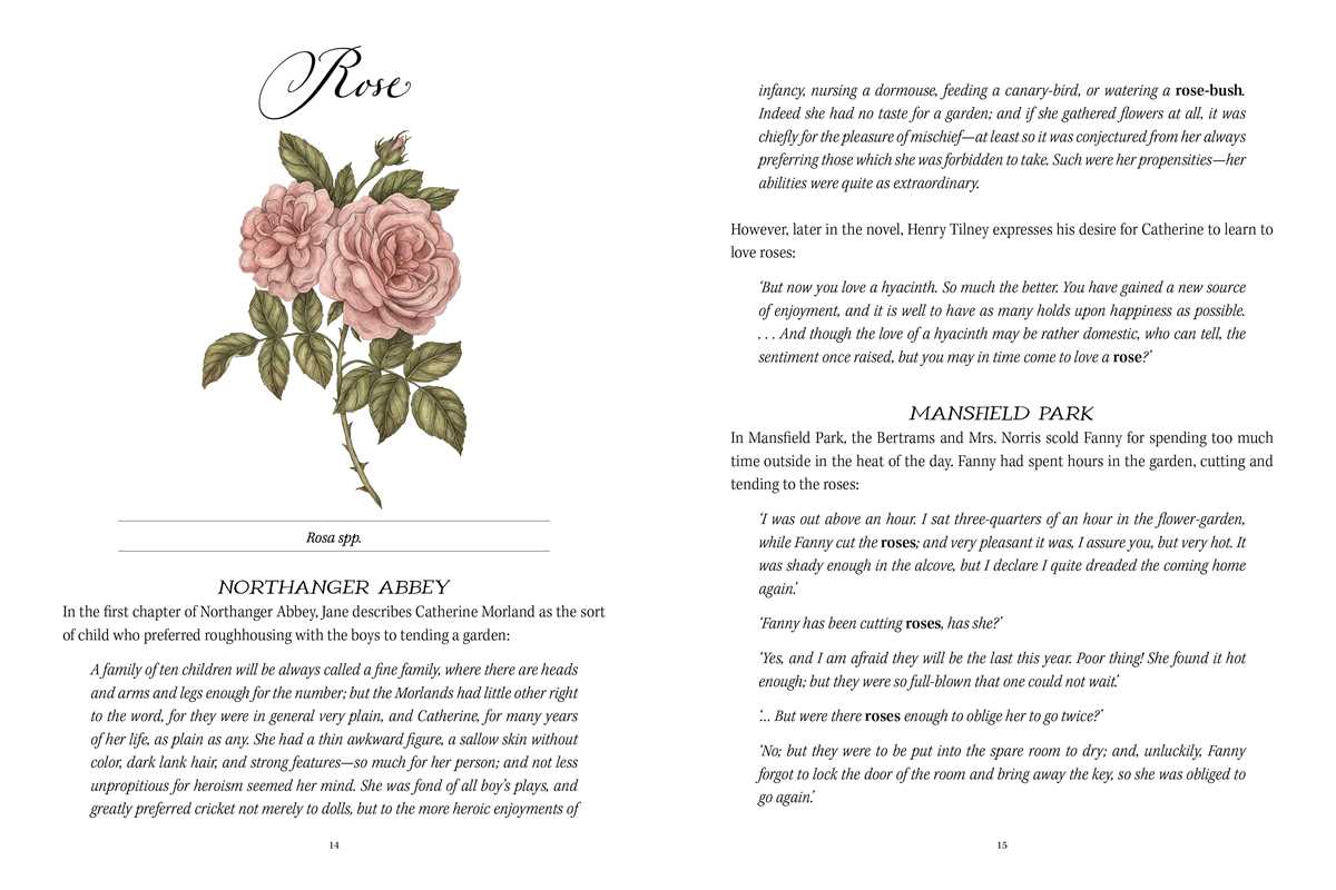 Jane Austen's Garden