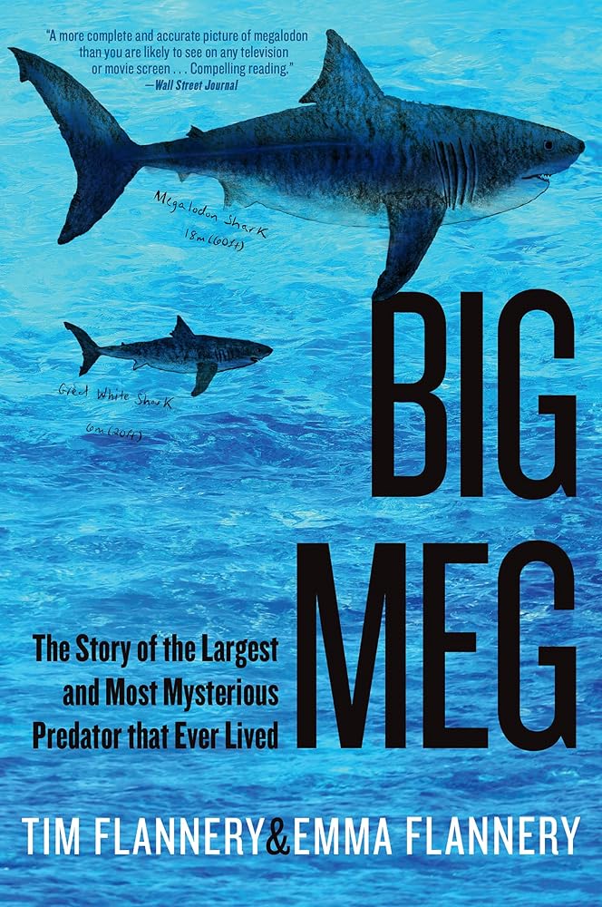 Big Meg: The Story of the Largest and Most Mysterious Predator that Ever Lived cover image