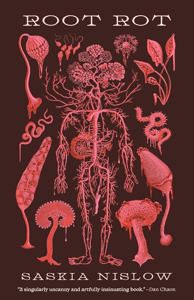 Root Rot cover image