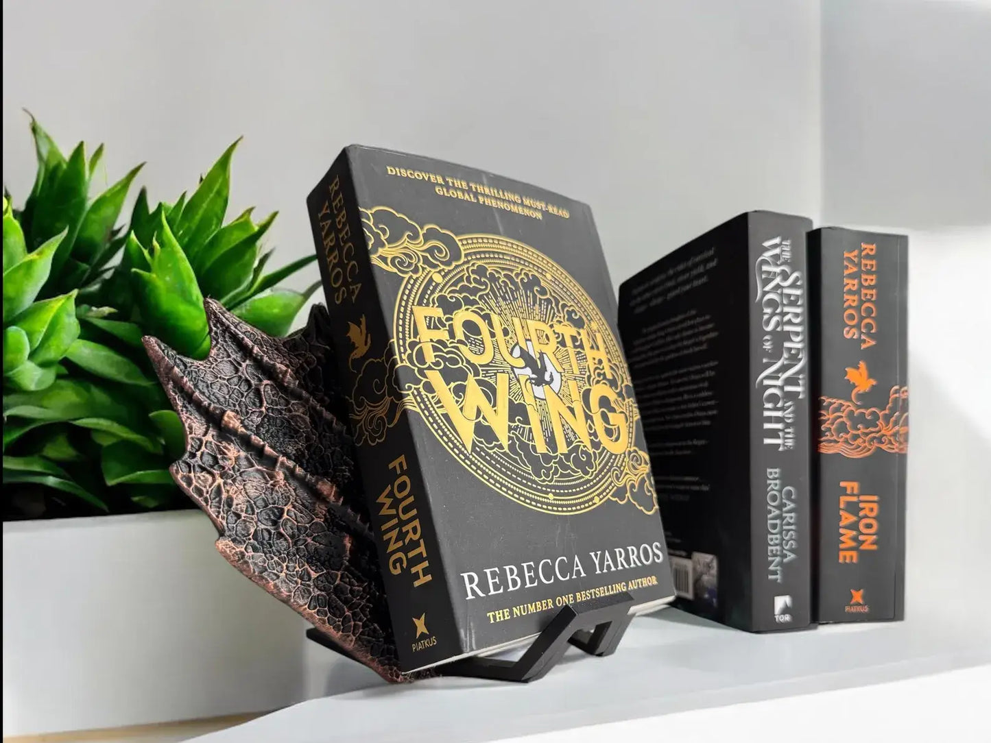 Dragon Wing Book Nook Display Elegant Antique Finish: Yellow Gold