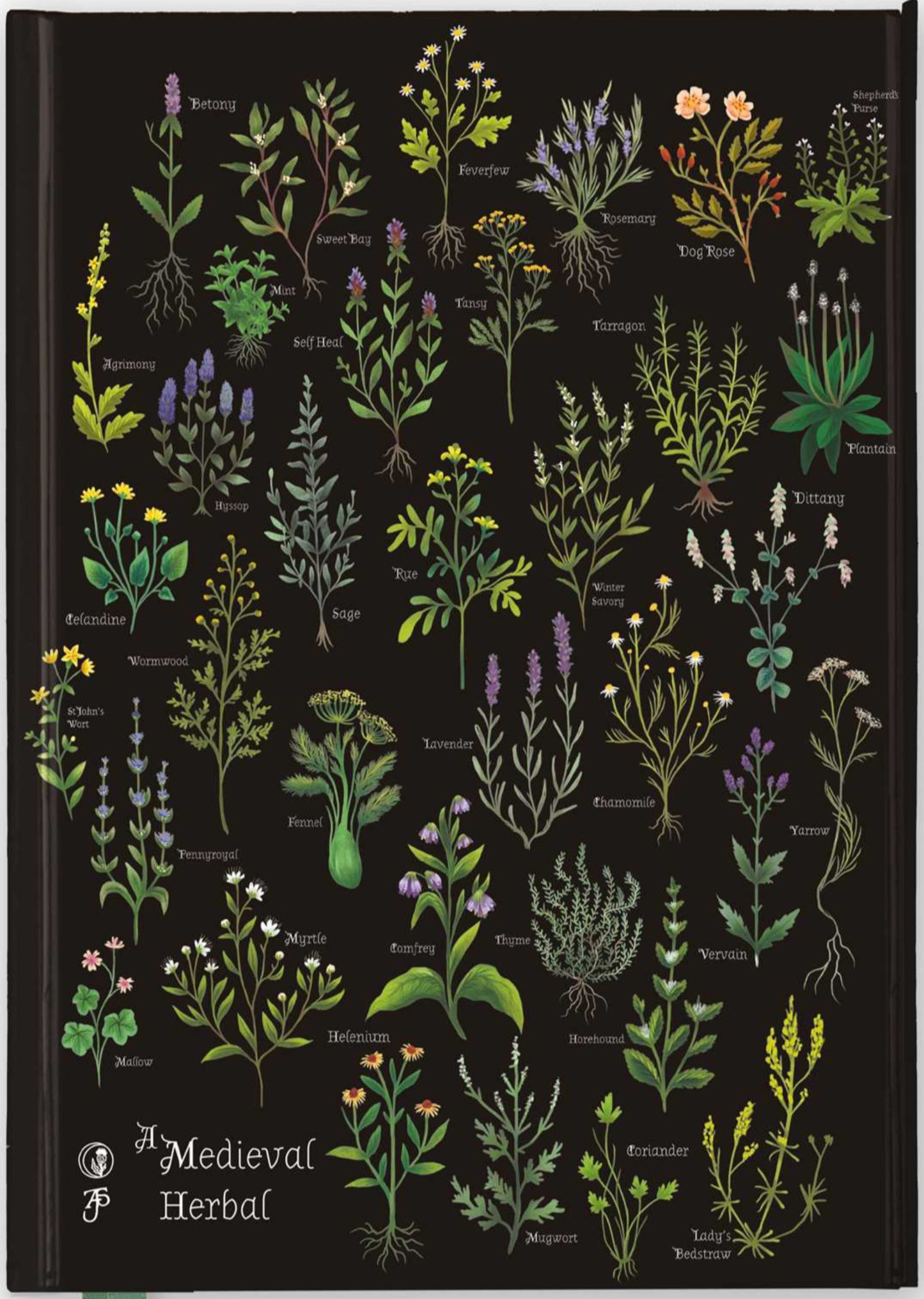 Journal - Medieval Herbal