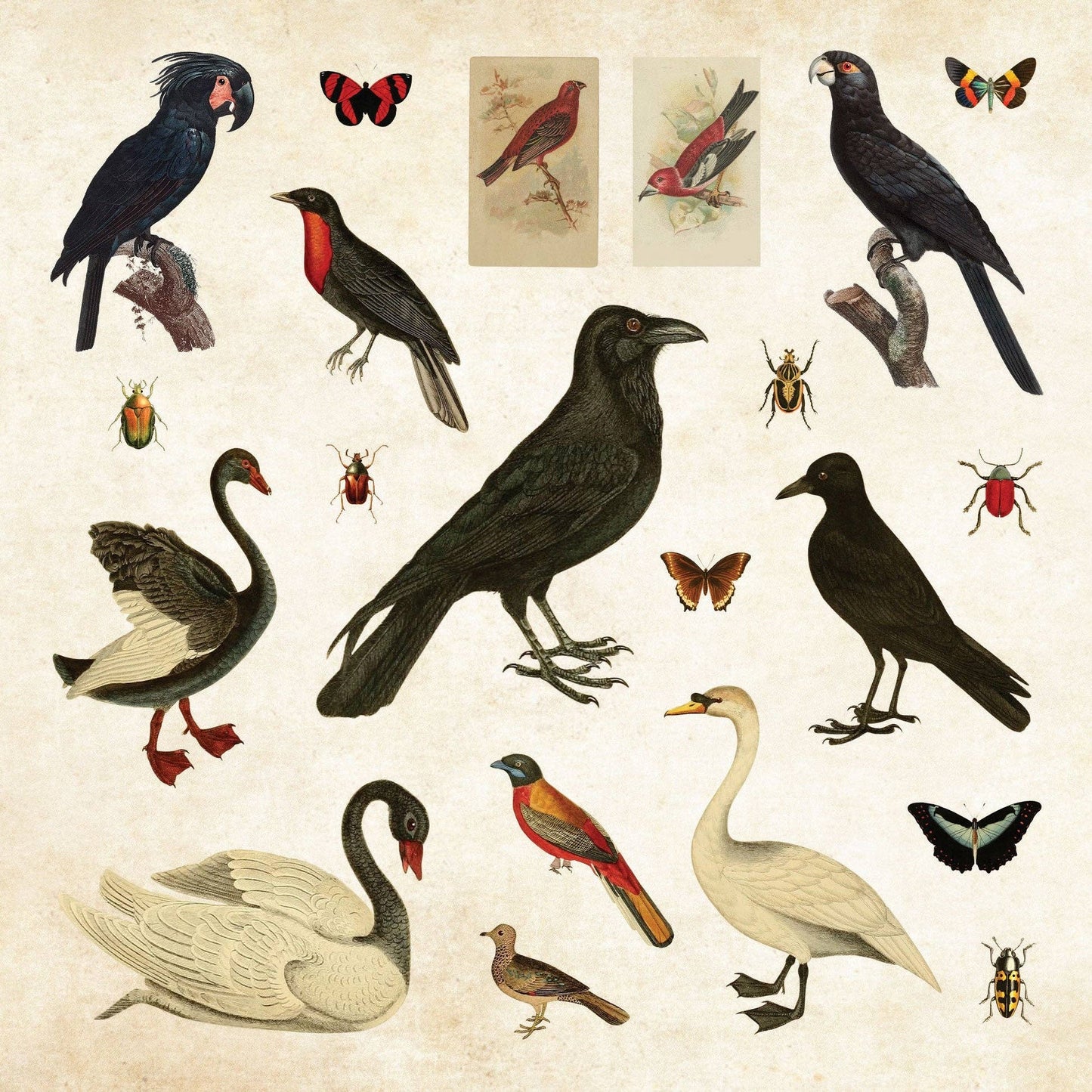 Sticker Book - Mystical Ephemera! An Enchanting Vintage