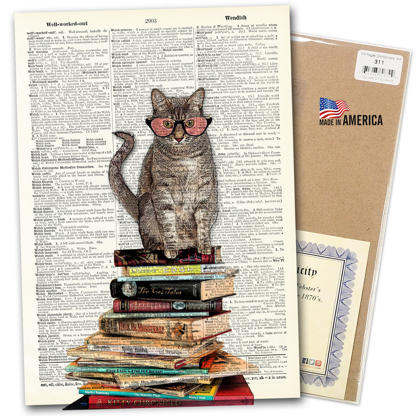 Vintage Dictionary Art - Cat on Books