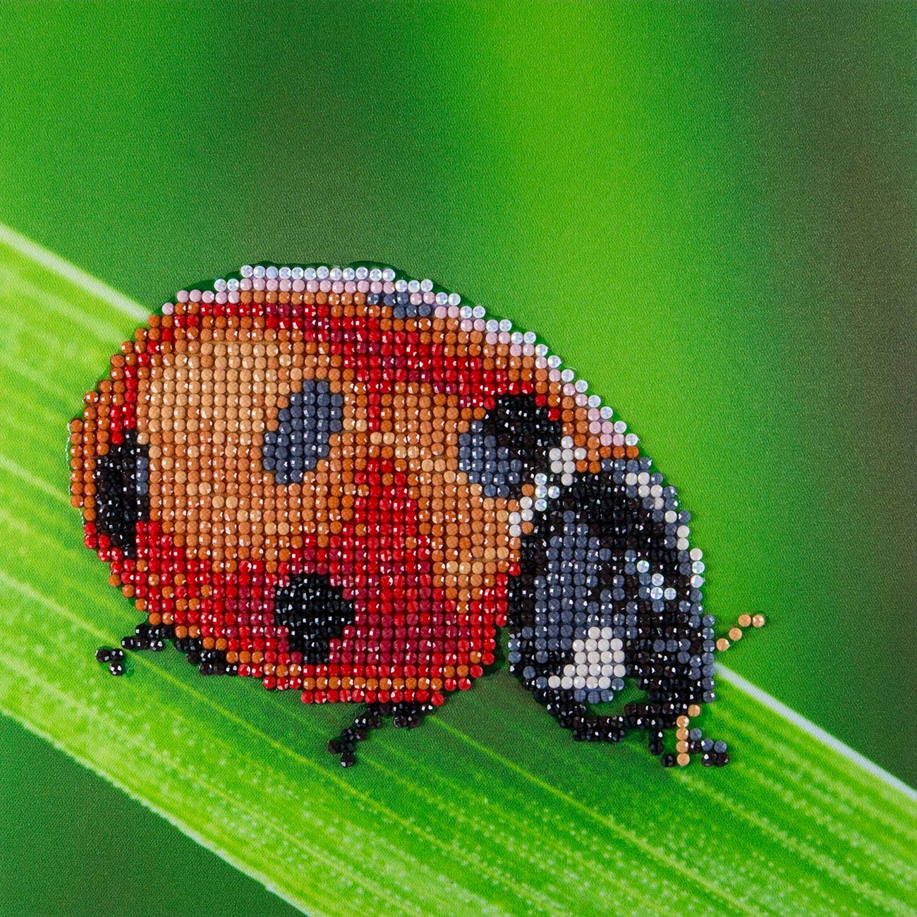 Diamond Arts-Dala B Ladybug