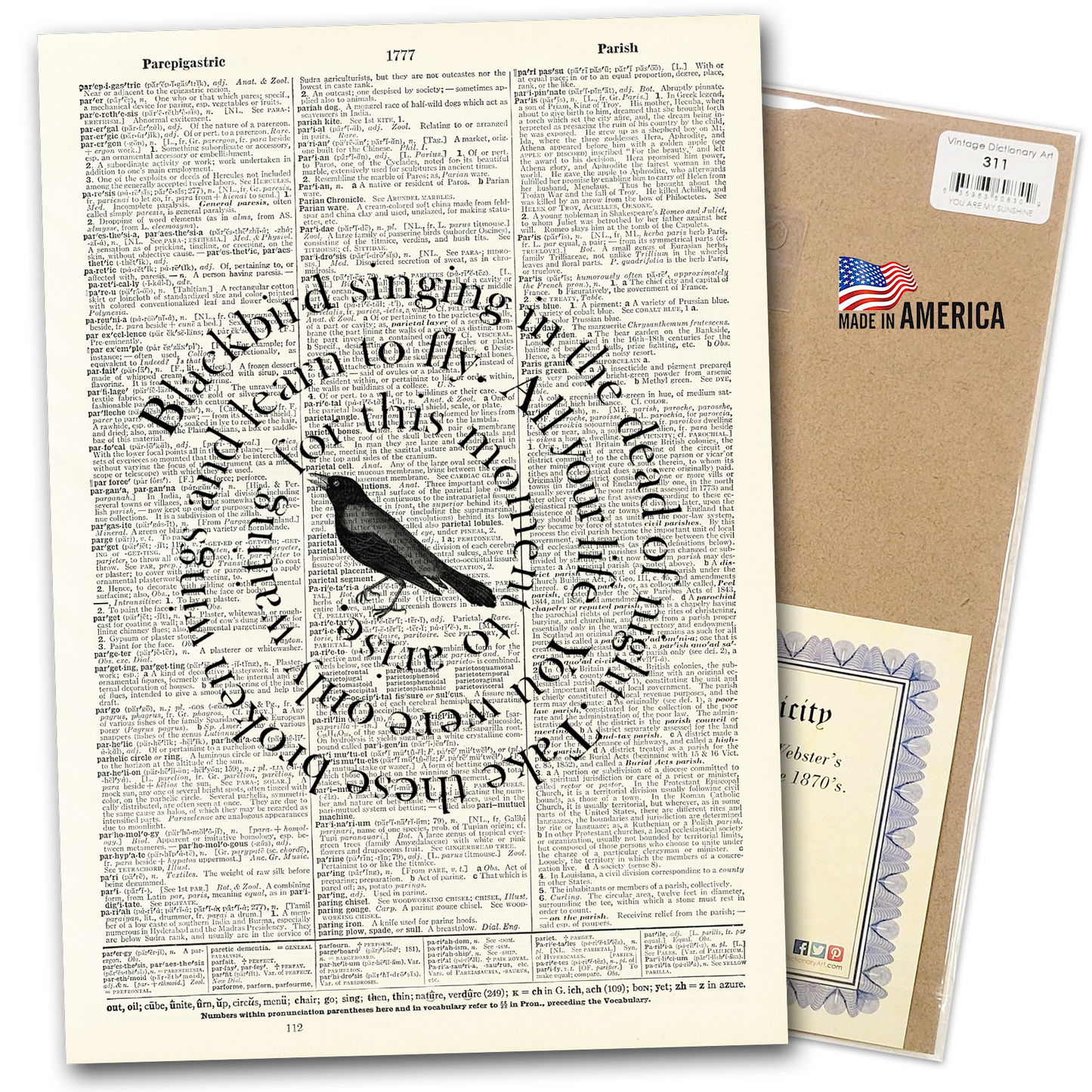 Vintage Dictionary Art - Black Bird Singing
