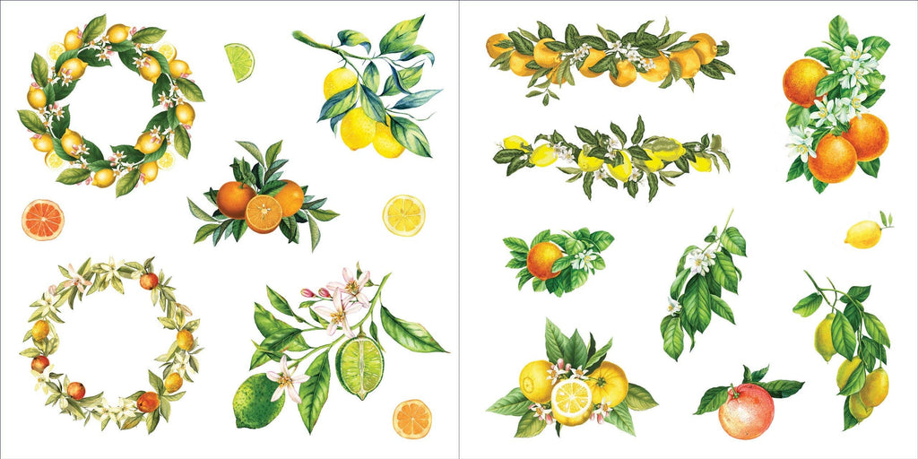 Sticker Book - Bunches of Botanicals (500 stickers)