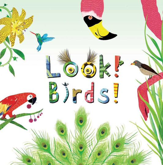 Look! Birds! Board Book