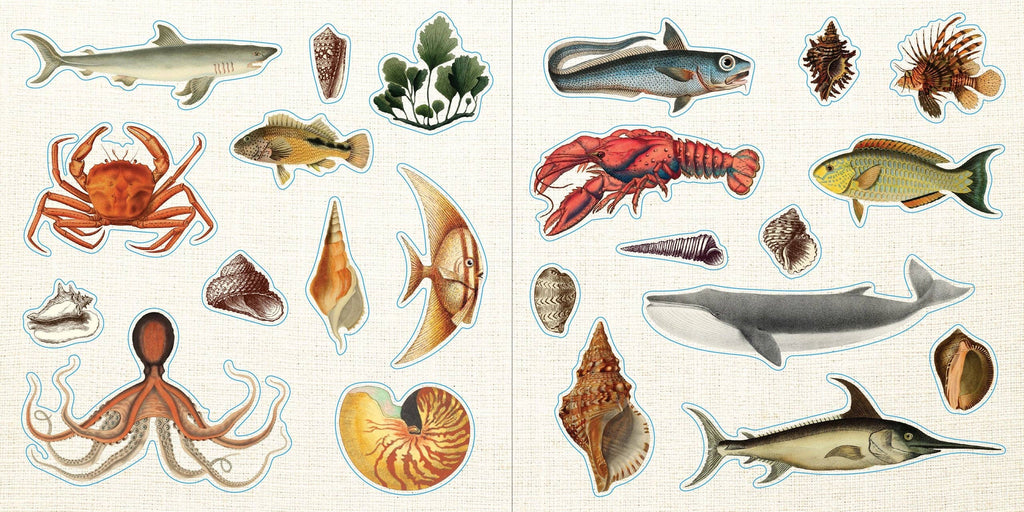 Sticker Book - Loads of Ephemera (580 stickers)