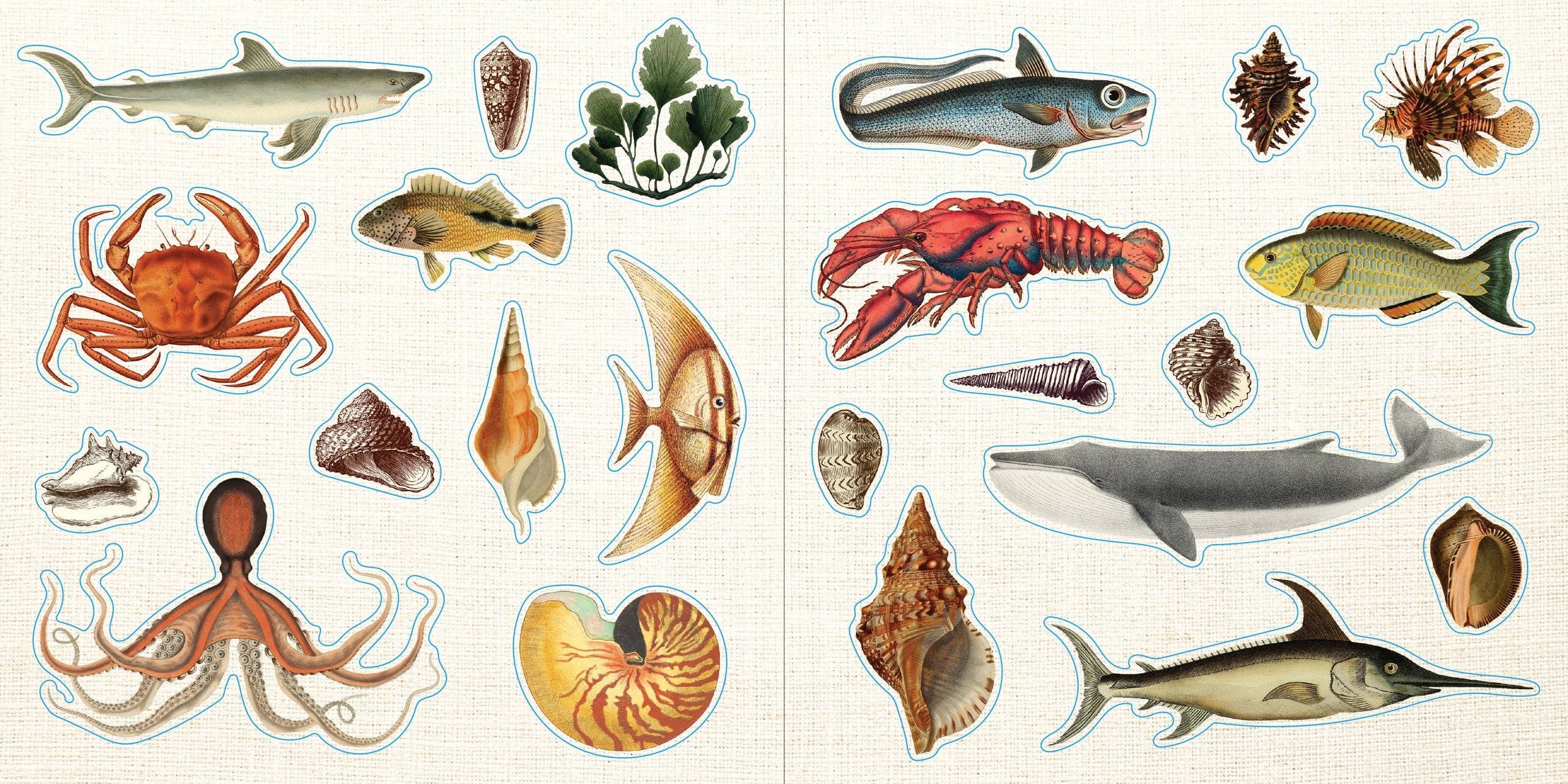 Sticker Book - Loads of Ephemera (580 stickers)