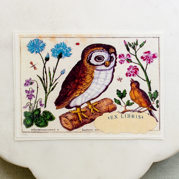 Bookplates: Owl and Singing Bird : Set of five