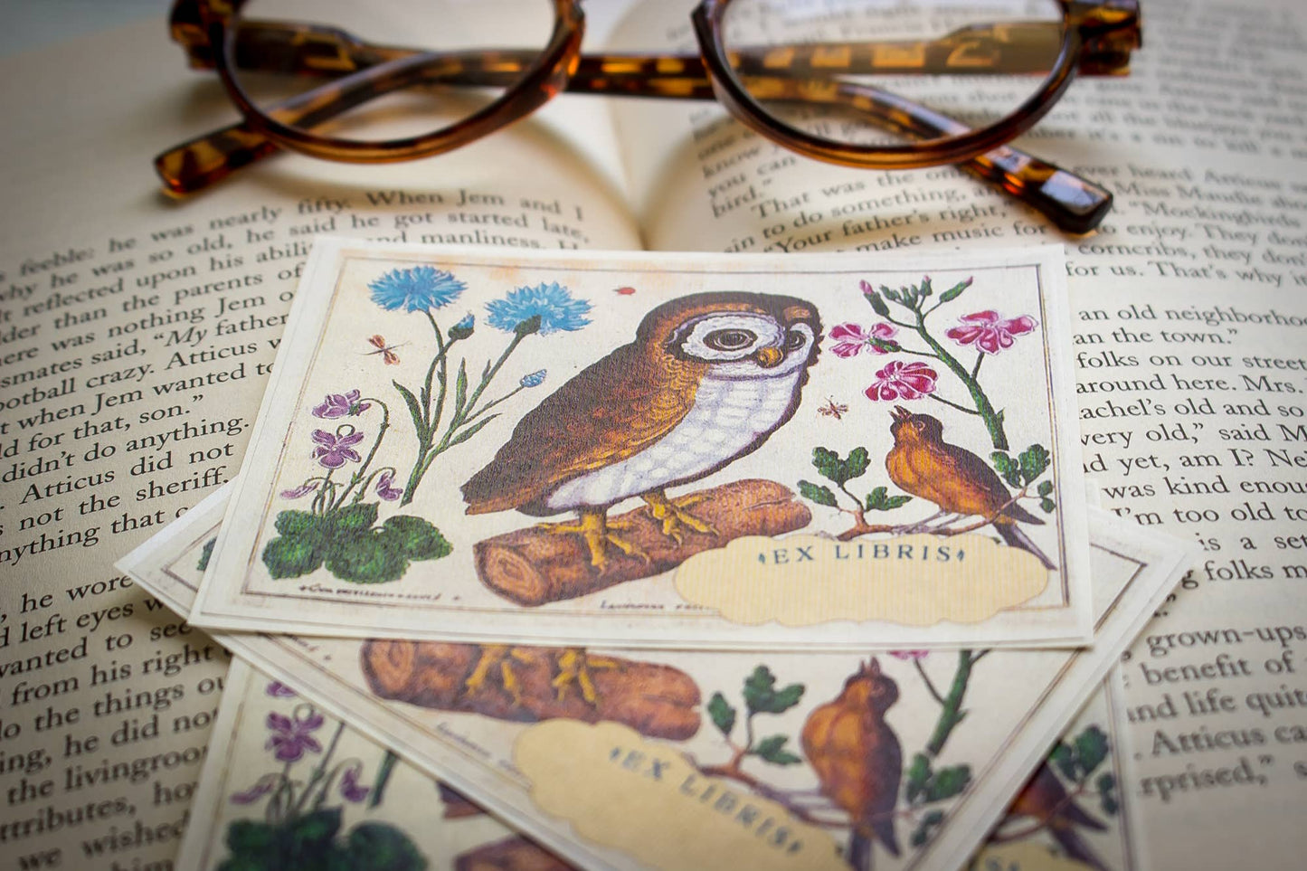 Bookplates: Owl and Singing Bird : Set of five