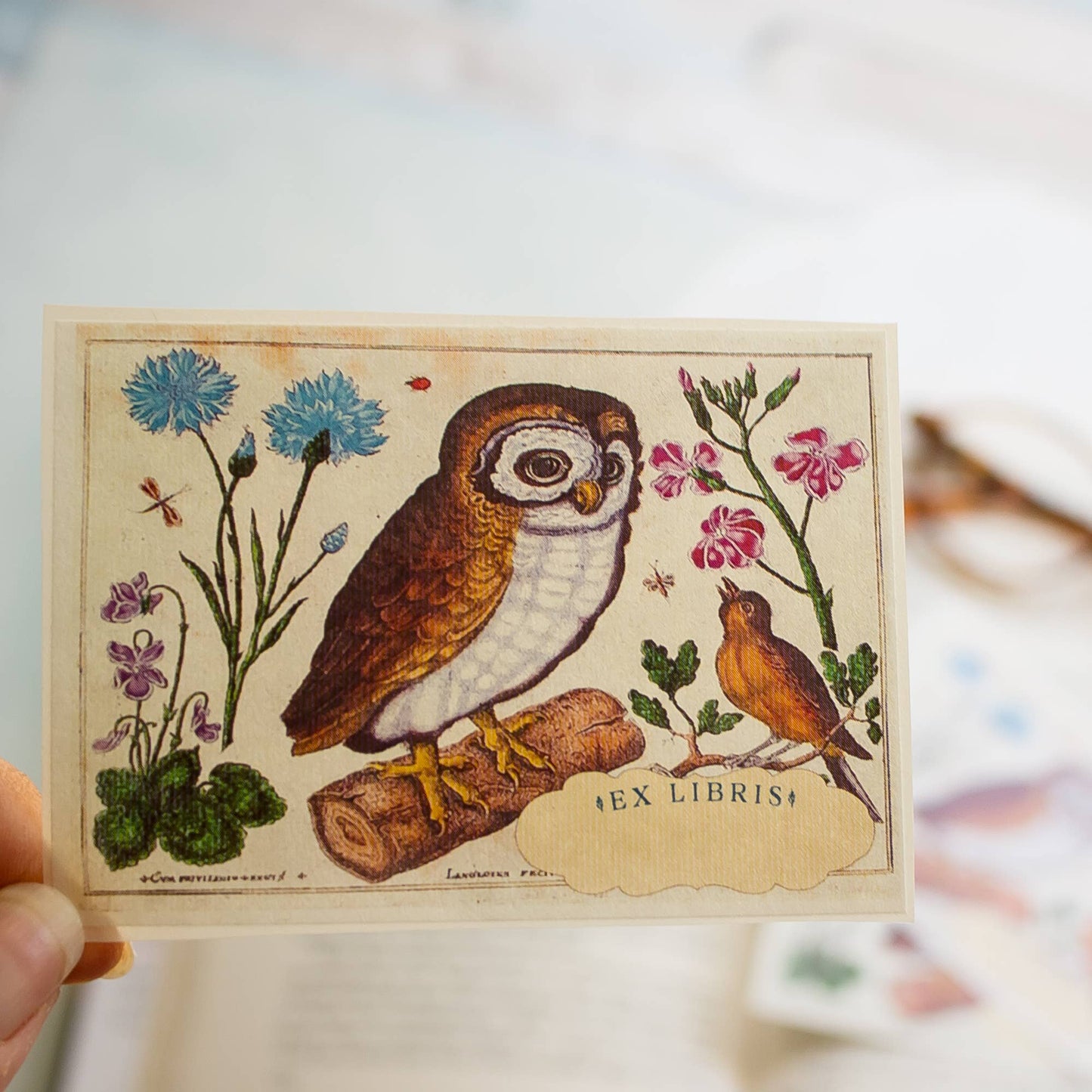 Bookplates: Owl and Singing Bird : Set of five