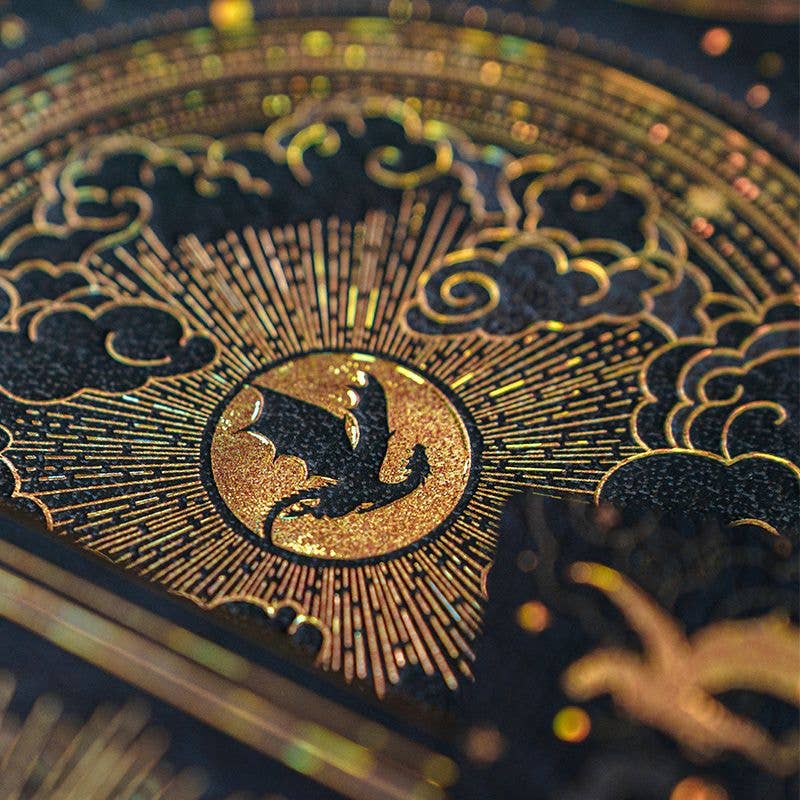 Paperblanks Shadows of Navarre HC Midi LIN (Fourth Wing)