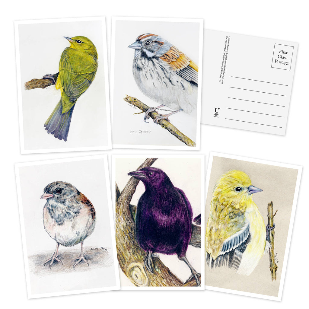 The Backyard Bird Chronicles: 50 Postcards by Amy Tan