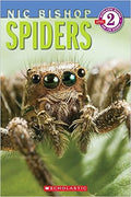Spiders