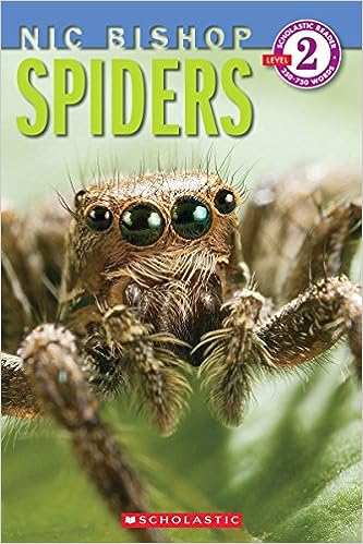 Spiders