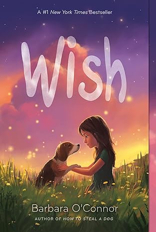 Wish (Paperback)