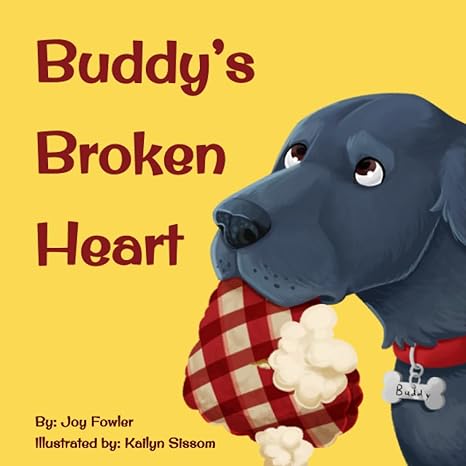 Buddy's Broken Heart Paperback