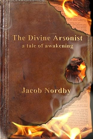 The Divine Arsonist: A Tale of Awakening (Paperback)