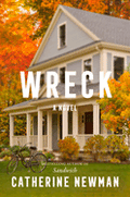 Wreck: A Novel