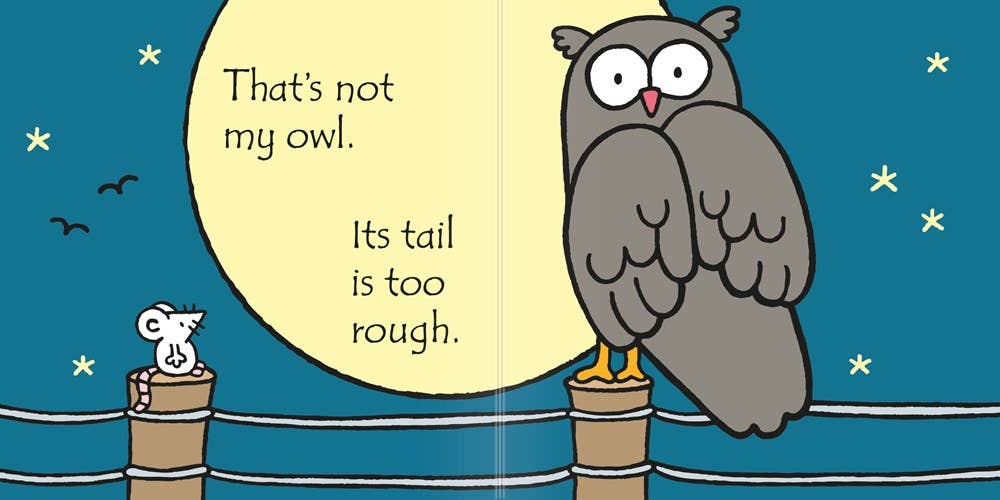 That's Not My Owl