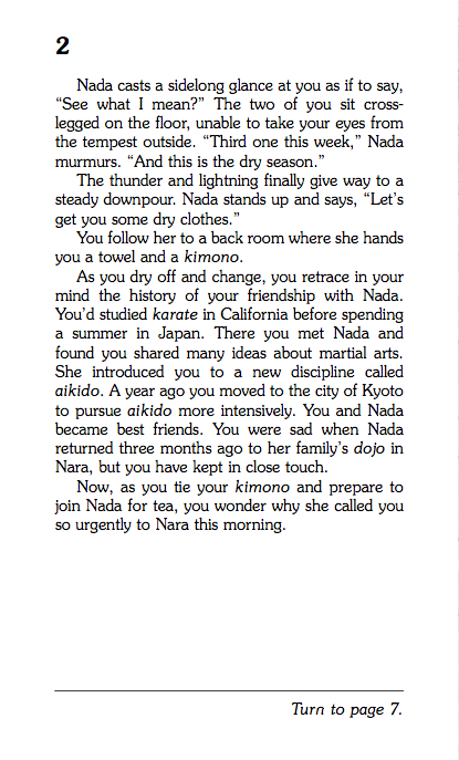 Secret Of The Ninja, Children's Book