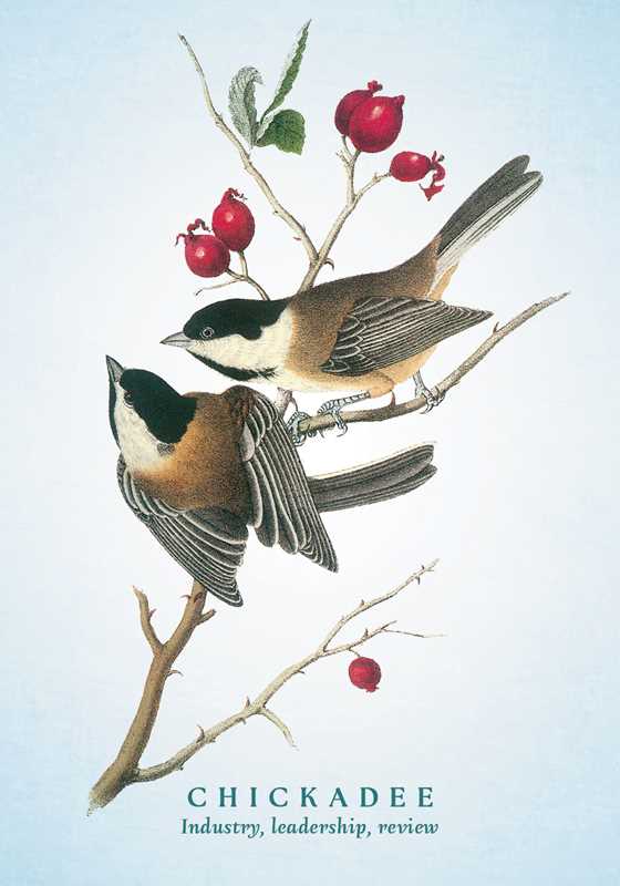 Spiritual Meaning of Birds Oracle Deck