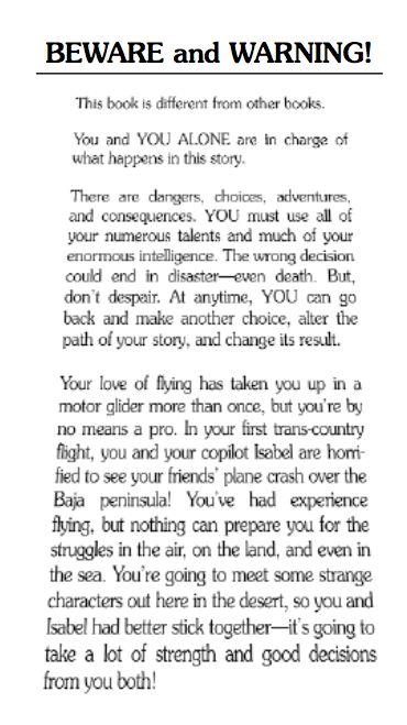 Silver Wings, Children's Book