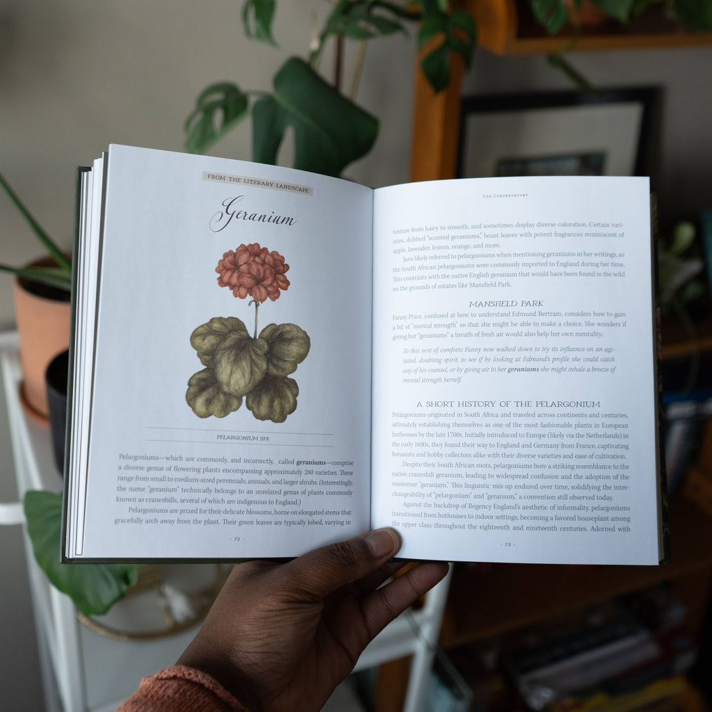 Jane Austen's Garden