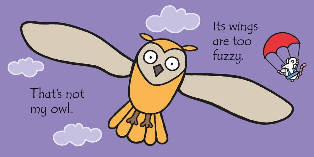 That's Not My Owl