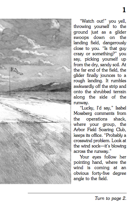 Silver Wings, Children's Book