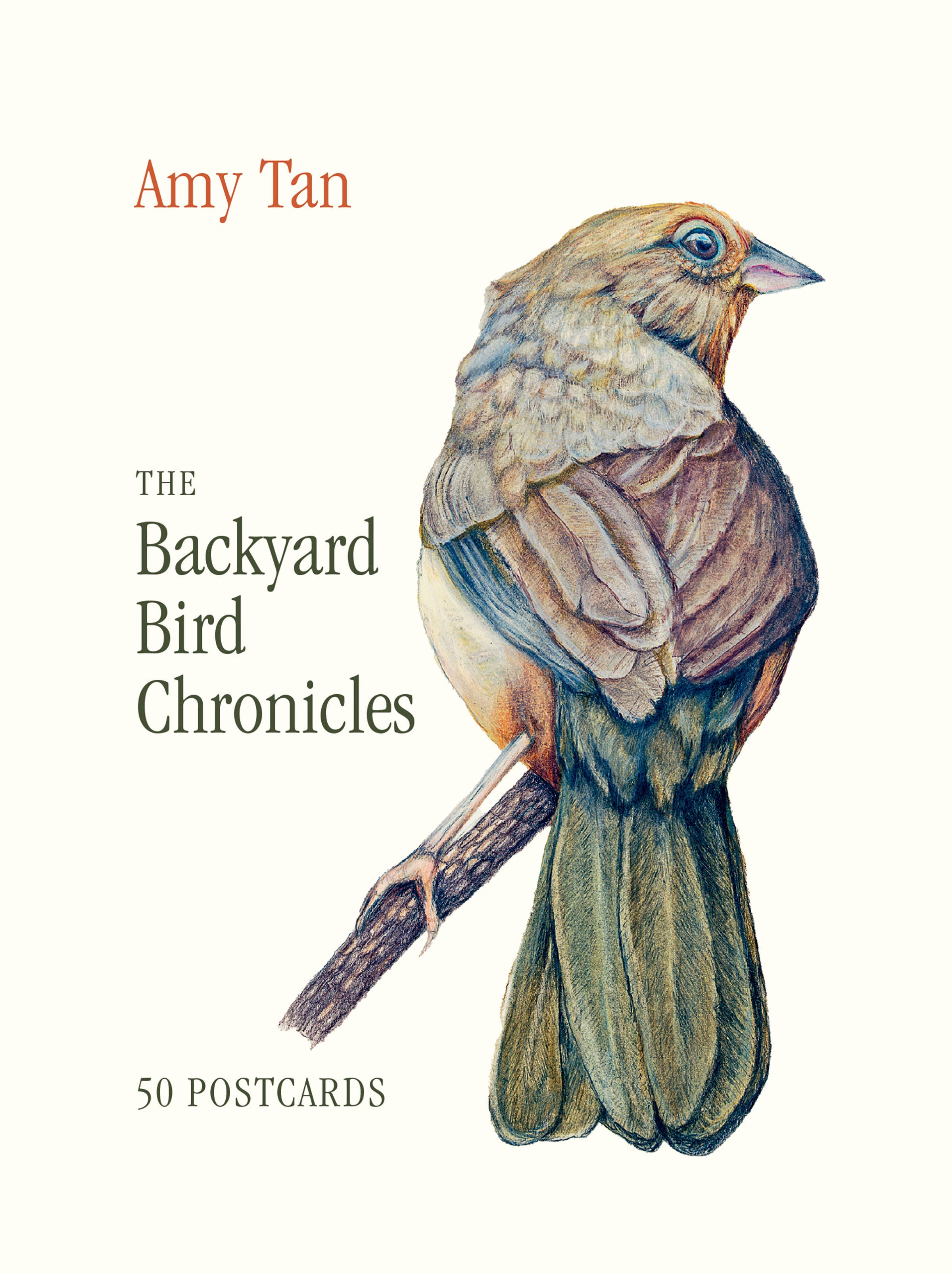The Backyard Bird Chronicles: 50 Postcards by Amy Tan