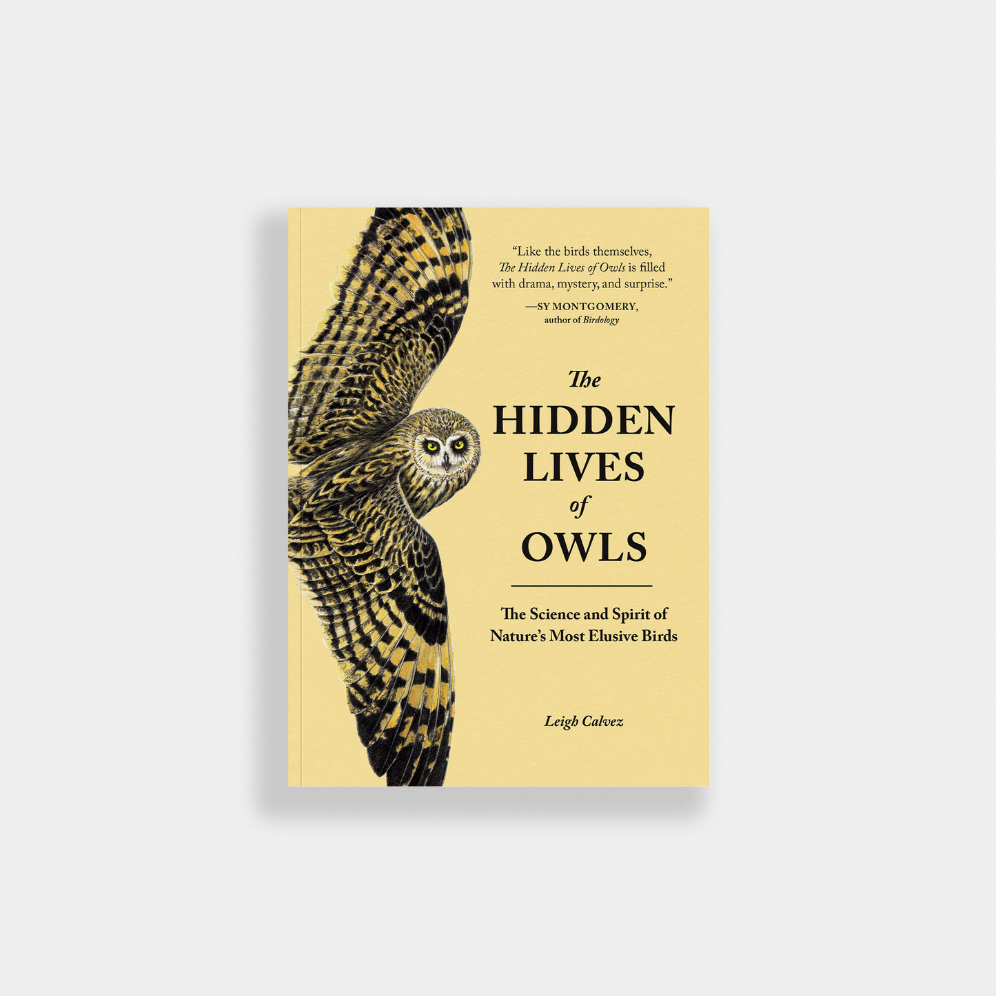 The Hidden Lives of Owls: Nature's Most Elusive Birds