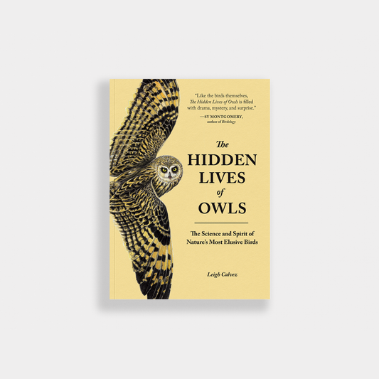 The Hidden Lives of Owls: Nature's Most Elusive Birds