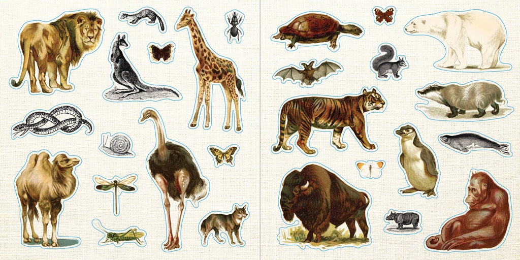 Sticker Book - Loads of Ephemera (580 stickers)