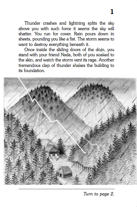 Secret Of The Ninja, Children's Book