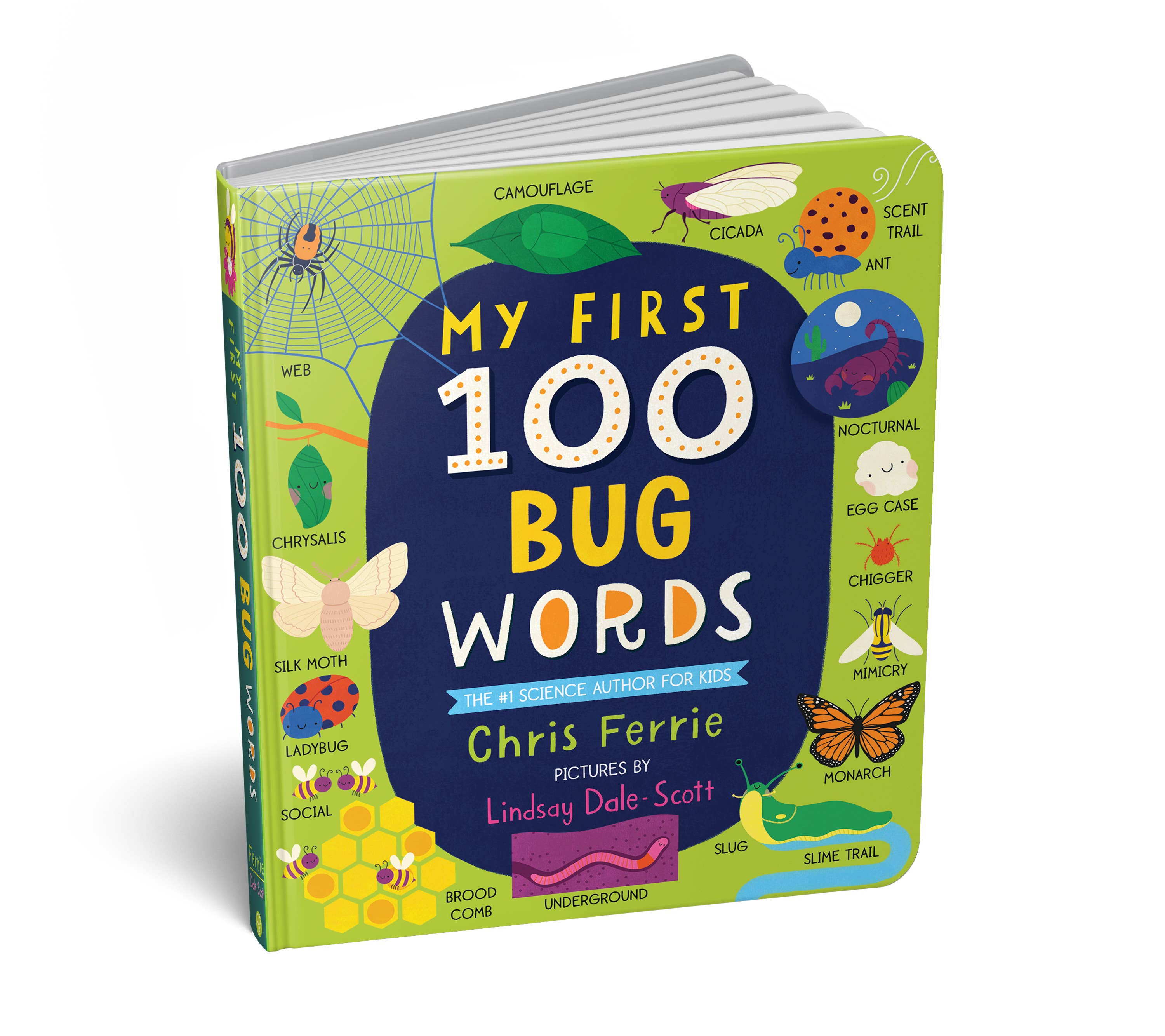 My First 100 Bug Words (BB-Padded)