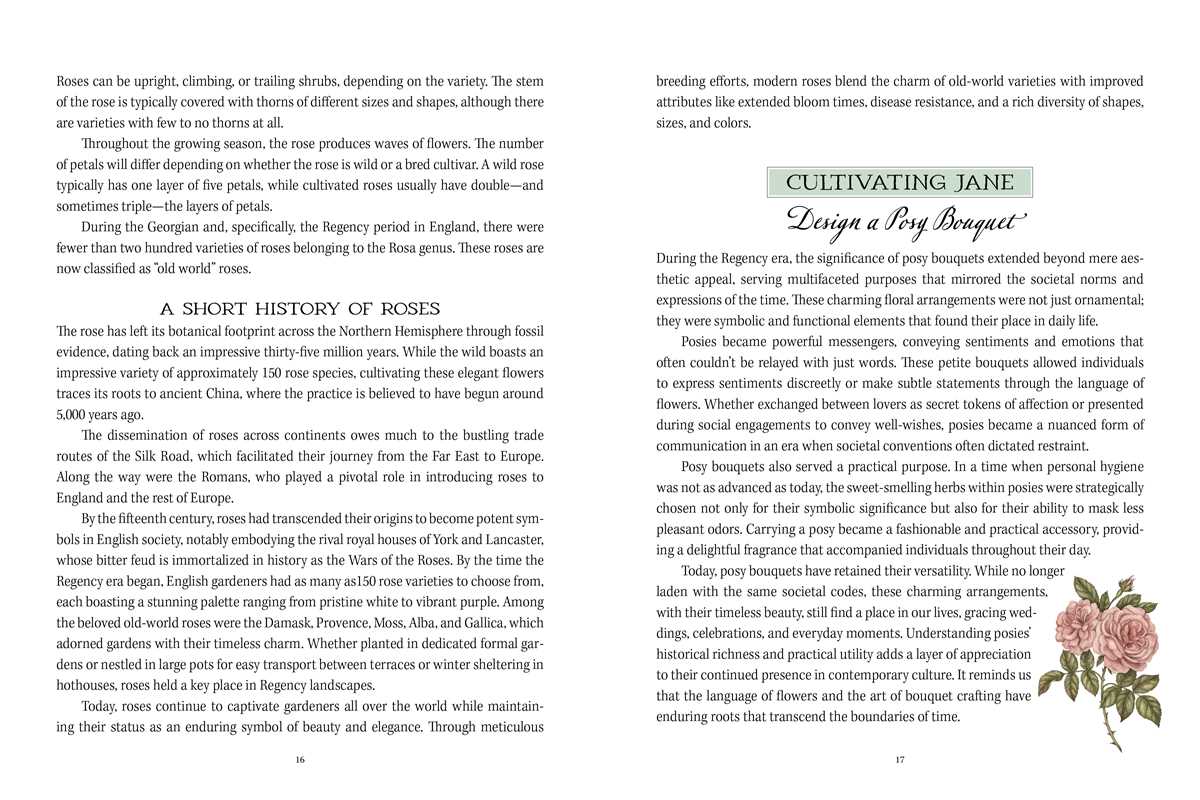 Jane Austen's Garden