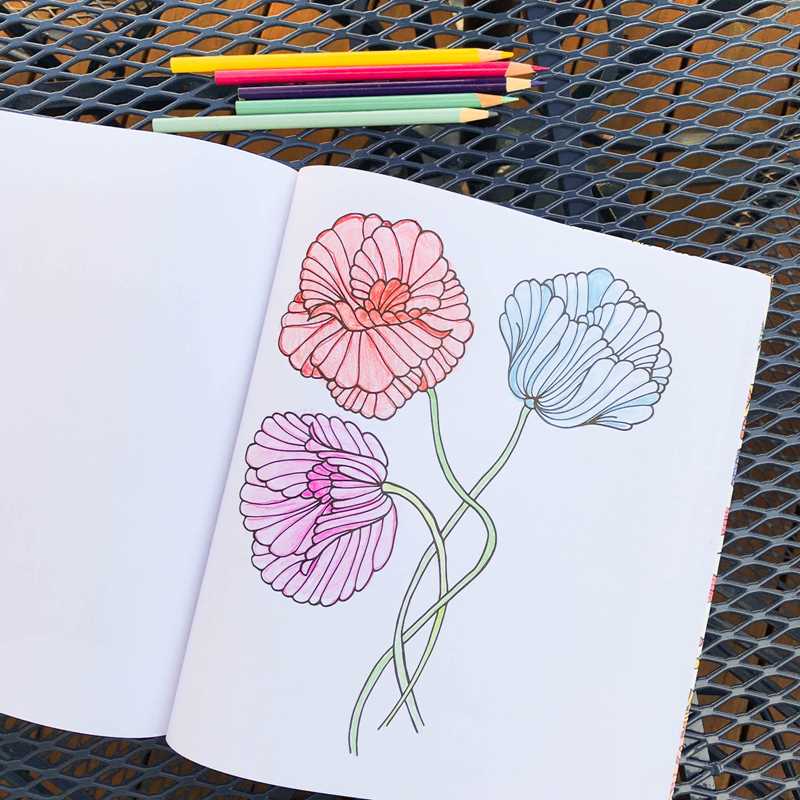 Coloring Book - Cozy
